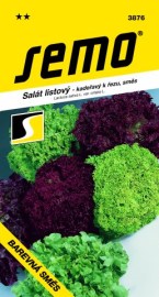 Salát listový Barevná směs